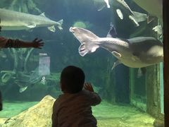 -华夏文旅海洋公园