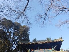 -北京国子监胡同
