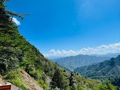-朱雀国家森林公园
