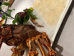 -金悦轩海鲜城(渔人码头店)