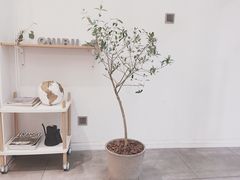 -Onirii Coffee(长乐路店)
