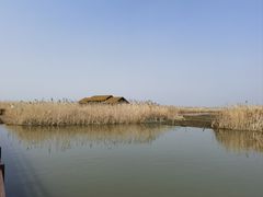 -宁波杭州湾国家湿地公园