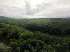 -西双版纳融创皇冠假日度假酒店