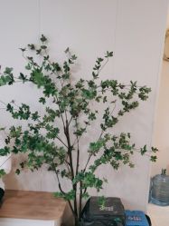 -俏宝贝照相馆(QBB儿童摄影)