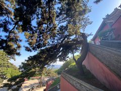 -妙峰山风景名胜区