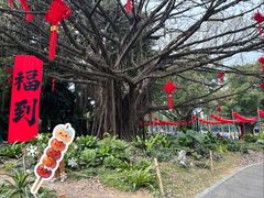 -南宁南湖公园