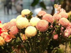 -植物学家的女儿(北马道巷店)