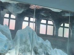 -帝企鹅自助餐厅•儿童岛•真企鹅(长隆企鹅酒店)