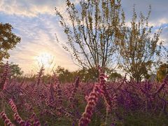 -上海山野camping·户外天幕烧烤·团建拓展营地
