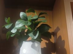 -梵猫·新养生(福州万象城店)