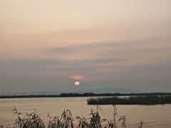 -苏州湾体育公园