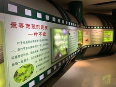 -上海昆虫博物馆