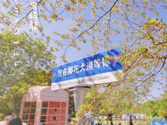 -上海辰山植物园