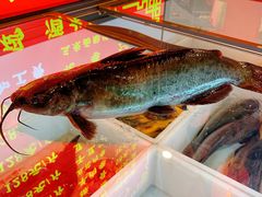 -江湖水乡铁锅炖魚(周庄嘉园店)