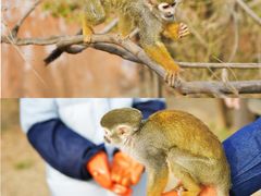 -济南野生动物世界