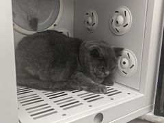 -FAELING PETS美天灵宠物(富力广场店)