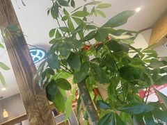 -艾柏堂8090经络·艾灸养生(御庭府邸店)