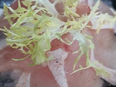 -马家斑.鲜鱼火锅(松湖万科店)