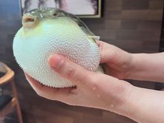 -永安鱼庄·镇江菜(东吴路店)