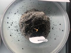 -fishtank鱼缸咖啡(三山街店)