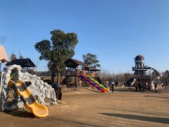 -上海长兴岛郊野公园