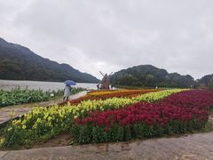 -广州市石门国家森林公园