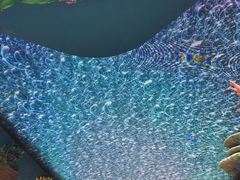 -珠海长隆海洋王国