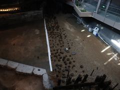 -元代水闸遗址博物馆