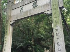 -龙井村