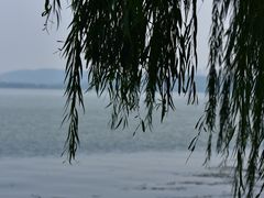 -湖滨客舍·湖北菜