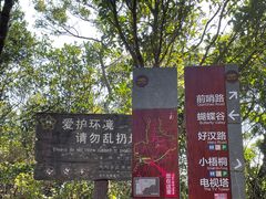 -梧桐山风景名胜区