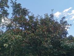 -长春公园(普阳街道)