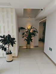 -魔型社烫染店