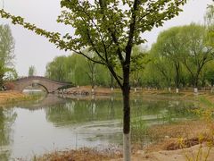 -大兴滨河森林公园