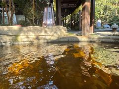 -杭州第一世界大酒店·云曼温泉