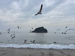 -棒棰岛宾馆景区