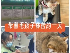 -爱侣·安琦尔宠物医院·中兽医针灸·心内科·狂犬免疫点(宝山区院)