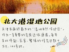 -塘沽森林公园