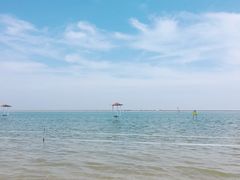 -碧海金沙