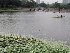 -荔湾湖公园