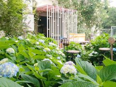 -三圣花乡旅游区