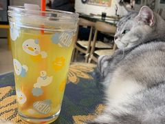 -平行世界·猫咖(首经贸店)