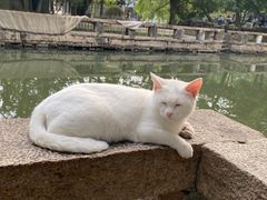 -西园戒幢律寺