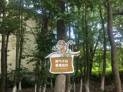 -苏州环秀晓筑养生度假村