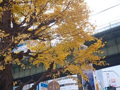 -秋叶原电器街