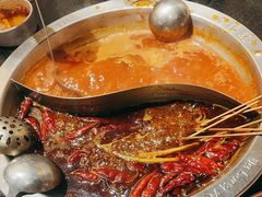 -大龙燚火锅(春熙店)