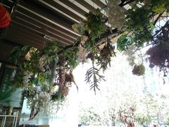 -杂咖zacup(领展中心城店)