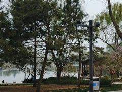 -北坞公园