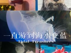 -西雅图水族馆