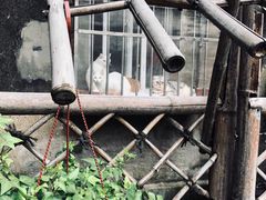 -二楼南书房